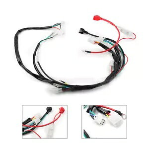 dCn[lX ATV UTV S[J[g Taotao 50/70CC/90CC/110CC- Electric Harness For Chinese ATV UTV GoKart Taotao 50/70CC/90CC/110CC-