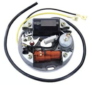 �I���^�l�[�^�[ 6V 17W �ڐG�_�Ύ��{�b�V�� �U�b�N�X 505 50/2 50/3 ���[�^�[�p Alternator 6V 17W Contact Ignition Type Bosch for Sachs 505 50/2 50/3 Motor-