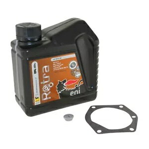 gX~bV IC KXPbg IC h XN[ wNX IveB} 50 3S 2 MA N 80-93- Transmission oil gasket oil drain screw for Hercules Optima 50 3S 2 gear year 80-93-