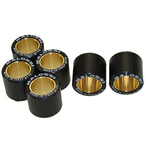 Variomatic EFCg Vario [[ 19x17mm 12.0g - Malossi HT 669456.L0 σ[- Variomatic weights Vario rollers 19x17mm 12.0g - Malossi HT 669456.L0 variable roll-