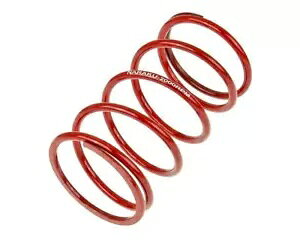 iN JE^[ vbV[ XvO X|[c V.2 + 2000rpm for Explorer Race GT 50- Naraku Counter Pressure Spring Sport V.2 + 2000rpm for Explorer Race GT 50-