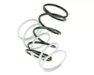 iNX|[c V.2 `~iGWڃXN[^[/NbhpJE^[vbV[XvO 2{Zbg` Naraku Sport V.2 - Set of 2 Counterpressure Springs for Scooters/Quads with Minarelli Engine-