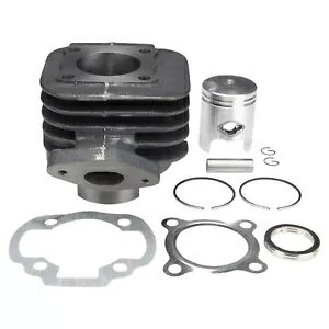 �A�v�����A �A�~�R SR 50 �W�V�����_�[ �L�b�g AC MINARELLI �X�e�w���h GL HU LX GC �X�|�[�c �A�[�o�� Aprilia Amico SR 50 Zylinder Kit AC MINARELLI stehend GL HU LX GC Sport Urban �y���s�A���i�z