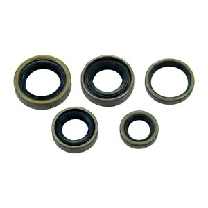 [^[ύ݃Zbg ^P[W 4 Xs[h 5 s[X Z?ndapp GTS KS RS 50-p Motor Simmerring Set Metal Cage 4-Speed 5-Piece for Z?ndapp GTS KS RS 50-