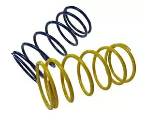 iN V.2 JE^[vbV[XvO 2 Zbg 50cc XN[^[p vW[ Xs[ht@Cg 2 50- Naraku V.2 Set of 2 Counter Pressure Springs for 50cc Scooters for Peugeot Speedfight 2 50-