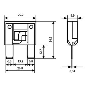 �X���b�g�q���[�Y�����v�}�L�V�A12/32V - 20A- Slat fuse lamp maxi, 12/32V - 20A- �y���s�A���i�z