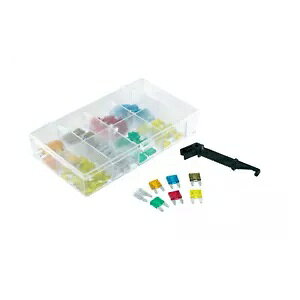 ~jq[Y RMS q[YLbgA100 - Mini Fuses RMS Fuse Kit, 100-Piece-