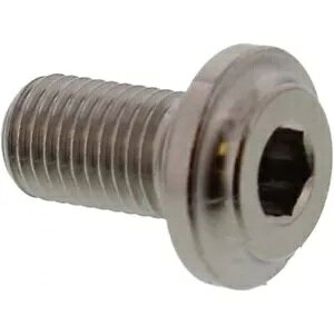 �l�W JMP �u���[�L�f�B�X�N �{���g M8x1.00 mm 13 mm �`�^�� Ducati �����X�^�[�p / S ABS- Screw JMP brake disc Bolt M8x1.00 mm 13 mm titanium for Ducati monsters / S ABS- �y���s�A���i�z