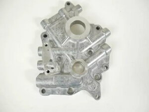 n[[_rbh\ Jv[g 17-22 c[O 18-22 \teC ~EH[L[ GCg M8 Harley-Davidson Cam Plate 17-22 Touring 18-22 Softail Milwaukee Eight M8