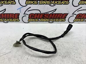 ���}�n YZF R125 2008 - 2013 �C���W�P�[�^�[�z���D�@ Yamaha Yzf R125 2008 - 2013 Indicator Wiring Loom �y���s�A���i�z