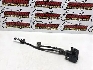 Lexmoto �~�V�K�� Eu5 125 2021 - 2023 �u���[�L���C�� �z�[�X �X�v���b�^�[ Lexmoto Michigan Eu5 125 2021 - 2023 Brake Lines Hoses Splitter