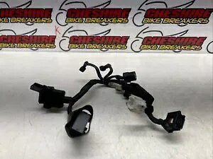 �z���_ Cbf 125 Na-j CB125R 2018 - 2020 �R���C���W�F�N�^�[�z���D�@�n�[�l�X Honda Cbf 125 Na-j Cb125r 2018 - 2020 Fuel Injector Wiring Loom Harness