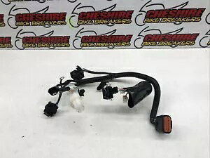 Lexmoto Echo + Plus Lj 50 Qt-6l 2019 - 2022 ECU CDI �z���D�@�n�[�l�X Lexmoto Echo + Plus Lj 50 Qt-6l 2019 - 2022 ECU CDI Wiring Loom Harness �y���s�A���i�z