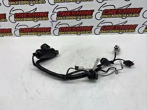 Lexmoto Echo + Plus Lj 50 Qt-6l 2019 - 2023 �G���W�� �T�u�z���D�@ Lexmoto Echo + Plus Lj 50 Qt-6l 2019 - 2023 Engine Sub Wiring Loom �y���s�A���i�z