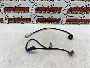 }n YZF 1000 R T_[[X 1996 - 2002 eP[u C[ [hD@ Yamaha Yzf 1000 R Thunderace 1996 - 2002 Various Cable Wire Lead Looms