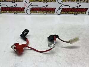 Triumph Street Triple Rs 765 Abs 2020 - 2023 A[XP[u [h Triumph Street Triple Rs 765 Abs 2020 - 2023 Earth Cable Lead Wire