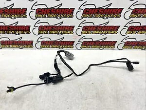 Triumph Tiger 1200 Gt Pro Eu5 2022 - 2023 �G���W�� �T�u�z���D�@�n�[�l�X Triumph Tiger 1200 Gt Pro Eu5 2022 - 2023 Engine Sub Wiring Loom Harness