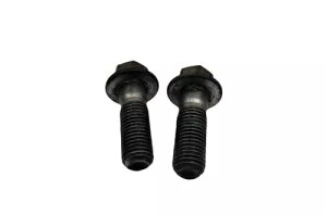 Yamaha XP 500 T-max Tmax 2001 - 2007 A u[L Lp[ {g Yamaha Xp 500 T-max Tmax 2001 - 2007 Rear Brake Calliper Bolts