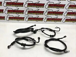 Lexmoto ATg 125 [ 5 2022 - 2023 tg & A u[L C z[X Lexmoto Assault 125 Euro 5 2022 - 2023 Front & Rear Brake Lines Hoses