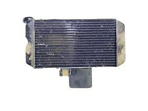 �X�Y�L DL 650 V �X�g�[�� 2004 - 2011 �G���W����p���W�G�[�^�[ Suzuki DL 650 V Storm 2004 - 2011 Engine Cooling Radiator �y���s�A���i�z
