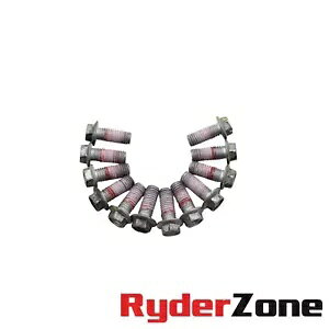 2017 - 2020 APRILIA TUONO V4 tg u[L [^[ {g n[hEFA Zbg 4 Lbg 2017 - 2020 APRILIA TUONO V4 FRONT BRAKE ROTOR BOLTS HARDWARE SET OF 4 KIT