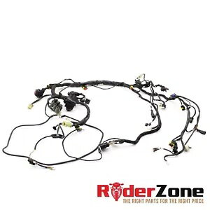 2012 hDJeB Xg[gt@C^[ S zn[lX CzD@RlN^ 2012 DUCATI STREETFIGHTER S WIRING HARNESS MAIN WIRING LOOM CONNECTORS