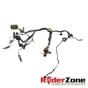 2003 - 2006 hDJeB 999 999S Cn[lXD@vOdCVXe݌ 2003 - 2006 DUCATI 999 999S MAIN HARNESS LOOM PLUGS ELECTRICAL SYSTEM STOCK