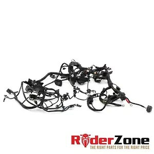2023 BMW S1000RR ���C�� �n�[�l�X �G���W���z���D�@���S�d�C *����* 2023 BMW S1000RR MAIN HARNESS ENGINE WIRING LOOM COMPLETE ELECTRICAL *DAMAGE* �y���s�A���i�z