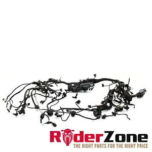 2020 - 2022 BMW S1000RR Cn[lXzD@dCVXe݌ 2020 - 2022 BMW S1000RR MAIN HARNESS WIRING LOOM ELECTRICAL SYSTEM STOCK