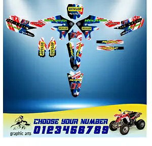OtBbNLbg fJ[ fR 2018-2022 }n YZ 450F 2019 2020 GRAPHICS KIT DECALS DECO DECOR 2018-2022 YAMAHA YZ 450F 2019 2020
