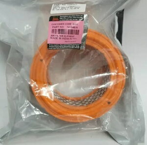 C GtB[h GA tB^[ 581007/A (143548/A)  OEM NVbN 350  500 Royal Enfield Air Filter 581007/A (143548/A) GENUINE OEM Classic 350 and 500