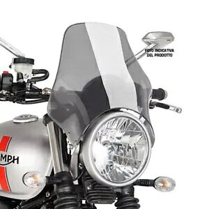 PUIG jo[T lCLbh XN[ z_ CLR 125 VeB tC 1998 - 2000 CgX[Np PUIG UNIVERSAL NAKED SCREEN FOR HONDA CLR 125 CITY FLY 1998 - 2000 LIGHT SMOKE