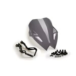 �v�[�C�O �l�C�L�b�h N.G.�X�|�[�c�X�N���[�� ���}�n XJ6 600 2009 - 2016 �_�[�N�X���[�N 5026F PUIG NAKED N.G. SPORT SCREEN FOR YAMAHA XJ6 600 2009 - 2016 DARK SMOKE 5026F �y���s�A���i�z