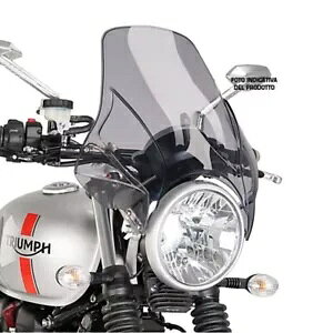 PUIG ���j�o�[�T�� �X�N���[�� �X�Y�L GSF �o���f�B�b�g 650 2005 - 2011 ���C�g�X���[�N 4844H PUIG UNIVERSAL SCREEN FOR SUZUKI GSF BANDIT 650 2005 - 2011 LIGHT SMOKE 4844H �y���s�A���i�z