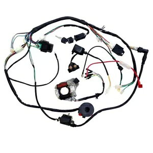 C[Xe[^[RC CDI zn[lX ATV S[J[g 70cc 110cc 125cc NbhoCNp Wire Stator Coil CDI Wiring Harness for ATV Go Kart 70cc 110cc 125cc Quad Bike