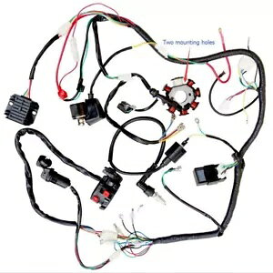 C[[zn[lX 150cc 200cc 250cc 300cc ATV NAbhS[J[g ZONGSHEN p WIRE LOOM WIRING HARNESS for 150cc 200cc 250cc 300cc ATV QUAD GO KART ZONGSHEN