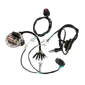 Lifan 50cc 70cc 110 125cc 140cc �G���W�����C���[�n�[�l�X�z�����C�_�[�g�s�b�g�o�C�N Lifan 50cc 70cc 110 125cc 140cc Engine Wire Harness Wiring Magneto Dirt Pit Bike �y���s�A���i�z