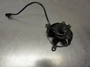 XYL GsN UC 125 t@p Suzuki Epicuro UC 125 Fan Cooling
