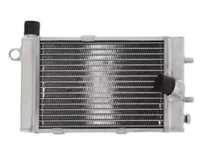 WG[^[ JPM AvA RST 1000 ~b t[` RSV Sl 1000 t@R gD[I Radiator Jpm Aprilia Rst 1000 Mille Futura RSV Sl 1000 Falco Tuon