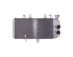 WG[^[ JMP BMW F 650 800 GS F 700 800 GS F 800 800 Radiator JMP BMW F 650 800 GS F 700 800 GS F 800 800