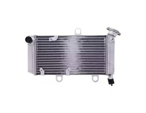 �E�H�[�^�[�N�[���[ JMP ���}�n XT 660 05-16 Water Cooler JMP Yamaha XT 660 05-16