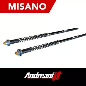 �A���h���A�[�j �~�T�m �t�H�[�N�����\�J�[�g���b�W�L�b�g �z���_ NSR 500 �ɓK�� ANDREANI MISANO FORK ADJUSTABLE CARTRIDGE KIT COMPATIBLE FOR HONDA NSR 500 �y���s�A���i�z
