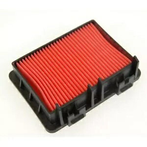 Hiflo HFA6303 I[goCGAtB^[ KTM 250 Duke 18-20p Hiflo HFA6303 Motorcycle Air Filter for KTM 250 Duke 18-20