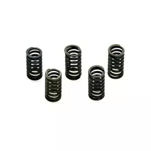 VjXJtF125 13-16p XvO(5{Zbg) Spring (Set of 5) for Sinnis Cafe 125 13-16