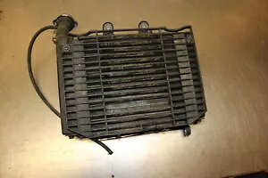Daelim Roadwin VJ 125 FI ���W�G�[�^�[ �E�H�[�^�[ �N�[���[ C5/1 Daelim Roadwin VJ 125 FI Radiator Water Cooler C5/1 �y���s�A���i�z