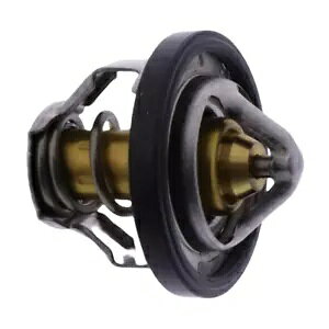 T[X^bg OE f QL 125 Fi S3 250 Fi S300 TT Thermostat OE Daelim QL 125 Fi S3 250 Fi S300 Salsa