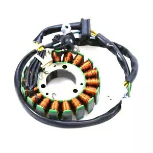 Sinnis Apache SM 125 17-20 �p�X�e�[�^�[ �A�Z���u�� Stator Assembly for Sinnis Apache SM 125 17-20