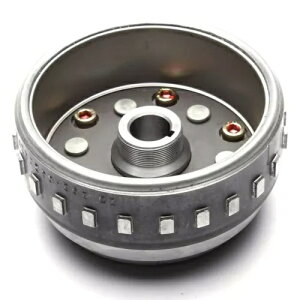 [^[AZu}Olg Lexmoto ~VK 125 ZS125-79-E4 17-21 p Rotor Assembly Magneto for Lexmoto Michigan 125 ZS125-79-E4 17-21