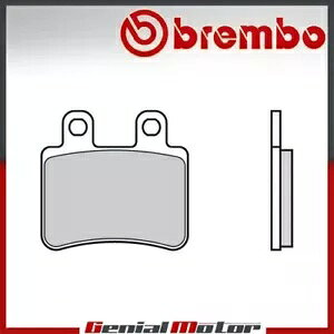 Scorpa T-RIDE 250 2008 - 2010- �p���A Brembo CC �u���[�L���C�j���O Rear Brembo CC brake lining for Scorpa T-RIDE 250 2008 - 2010- �y���s�A���i�z