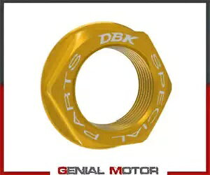�t�����g �z�C�[�� �i�b�g �S�[���h Dbk Moto Guzzi Stelvio Pff ���C�_�[ �A�V�X�^���X �\�����[�V���� 2024 Front Wheel Nut Gold Dbk Moto Guzzi Stelvio Pff Rider Assistance Solution 2024 �y���s�A���i�z